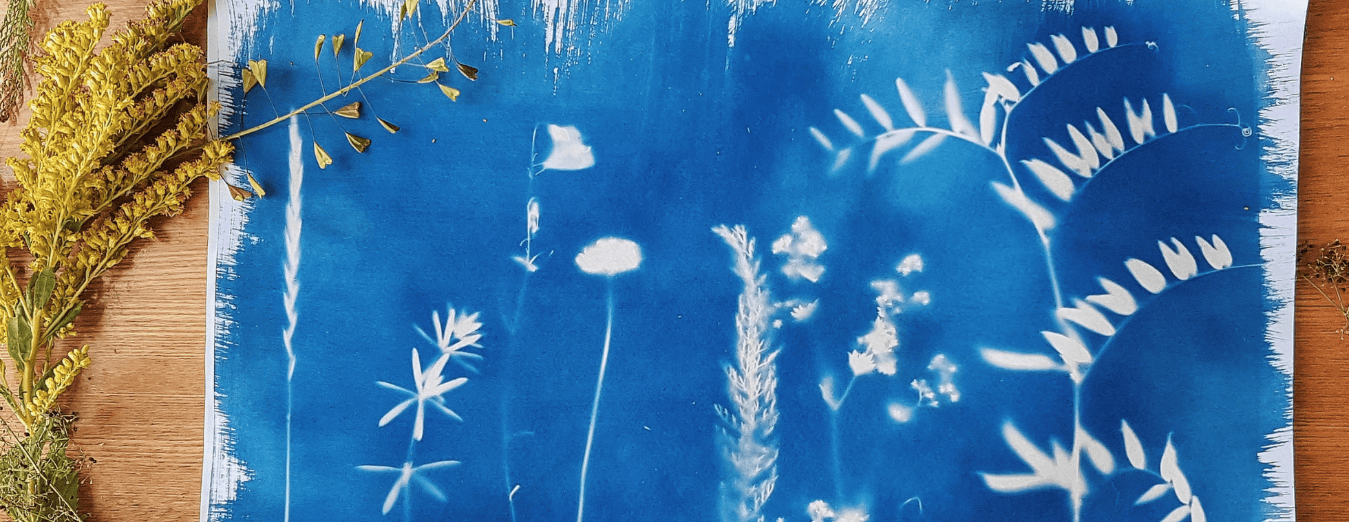 Blue fabric with white botanical leaf and plant patterns for workshop.