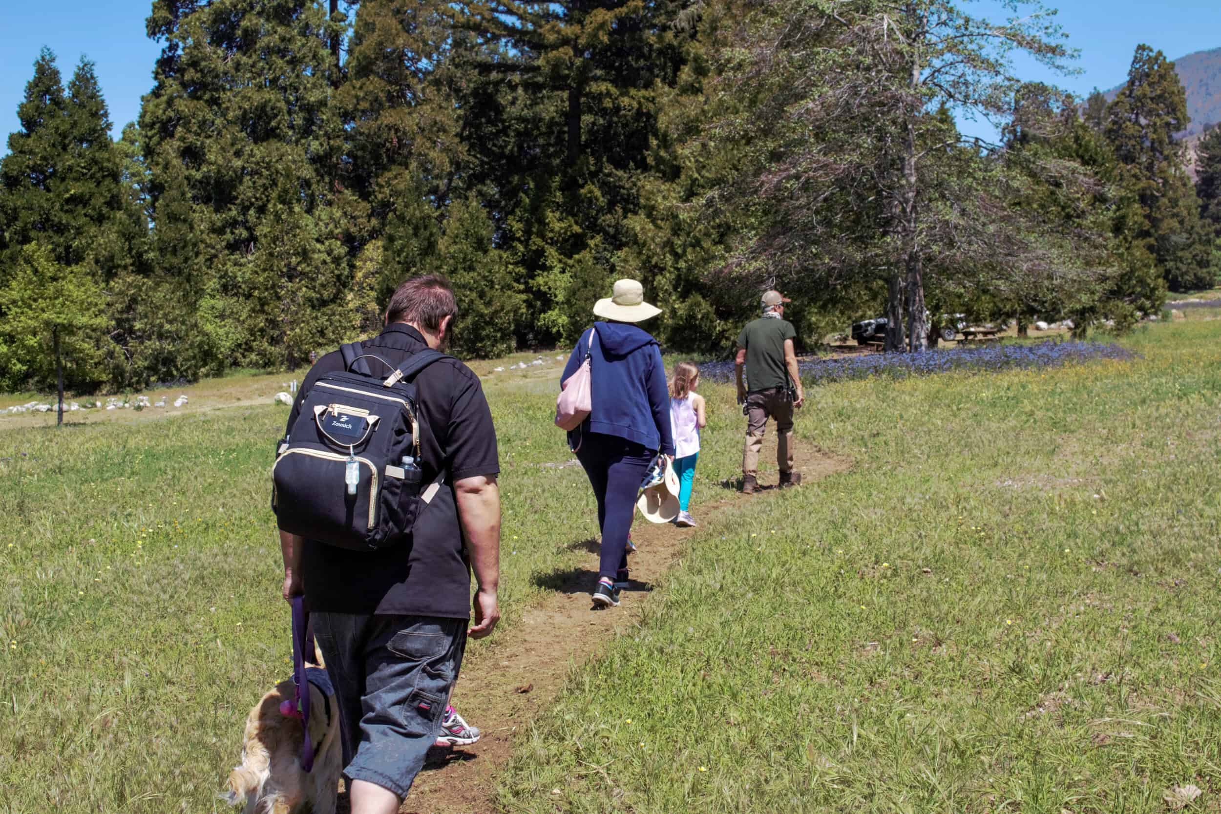 People enjoying a guided nature walk through a lush green park with wildflowers and trees.