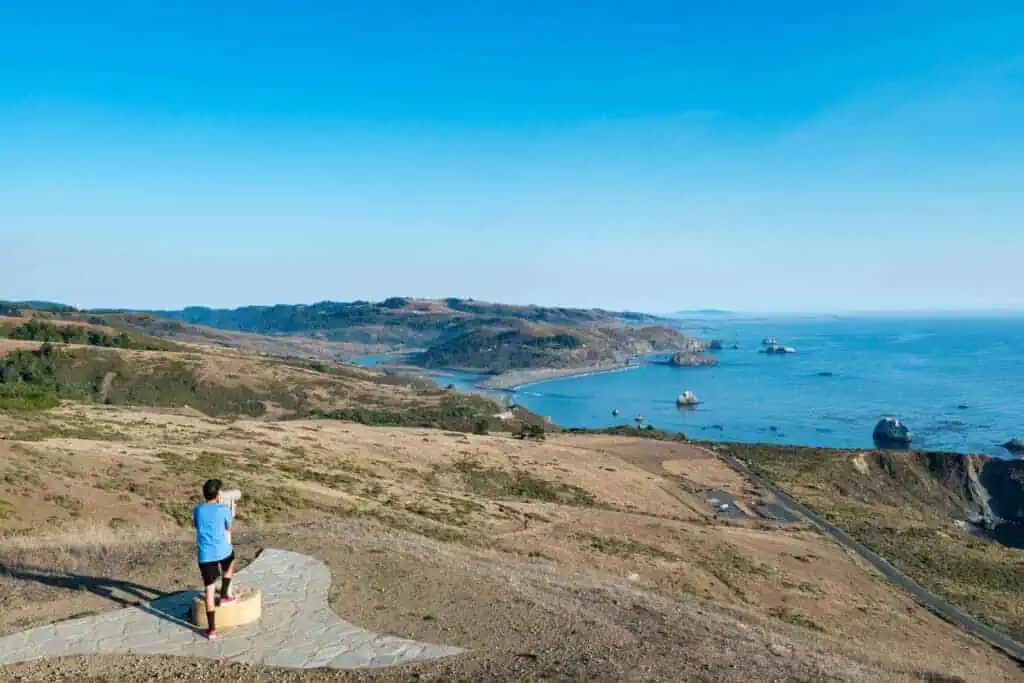 Person overlooking coastal landscape at The Wildlands Conservancy.