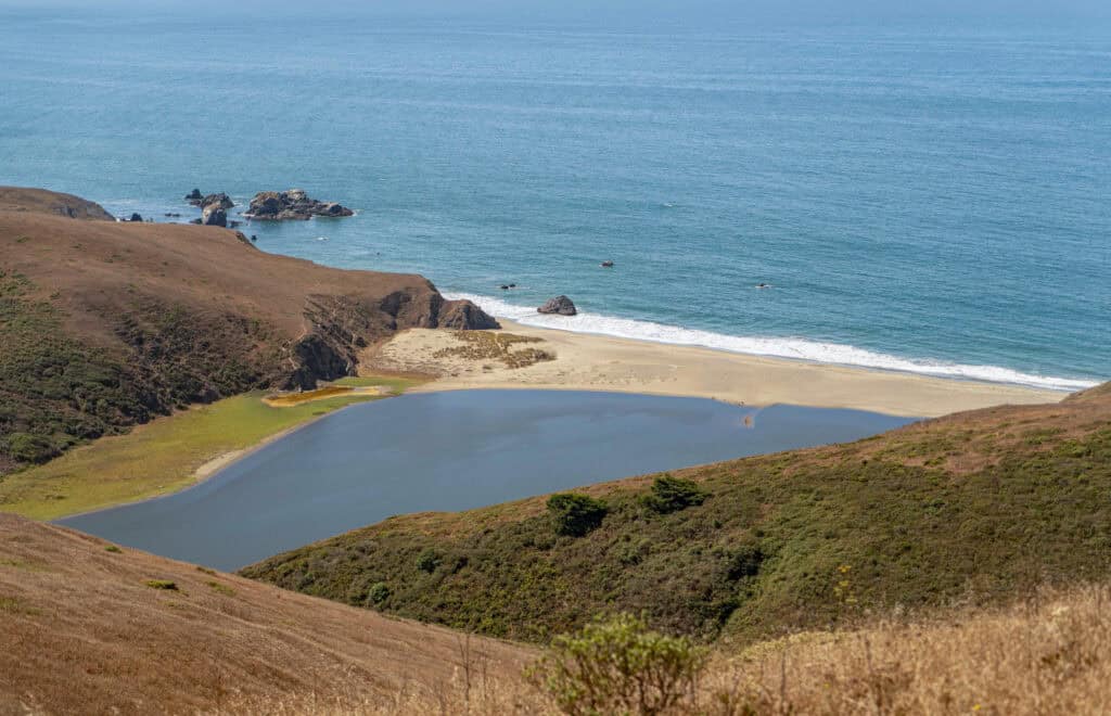 Wetlands at Estero Americano Coast Preserve with ocean view.