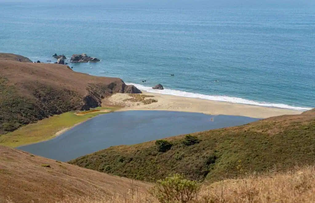 Wetlands at Estero Americano Coast Preserve with ocean view.