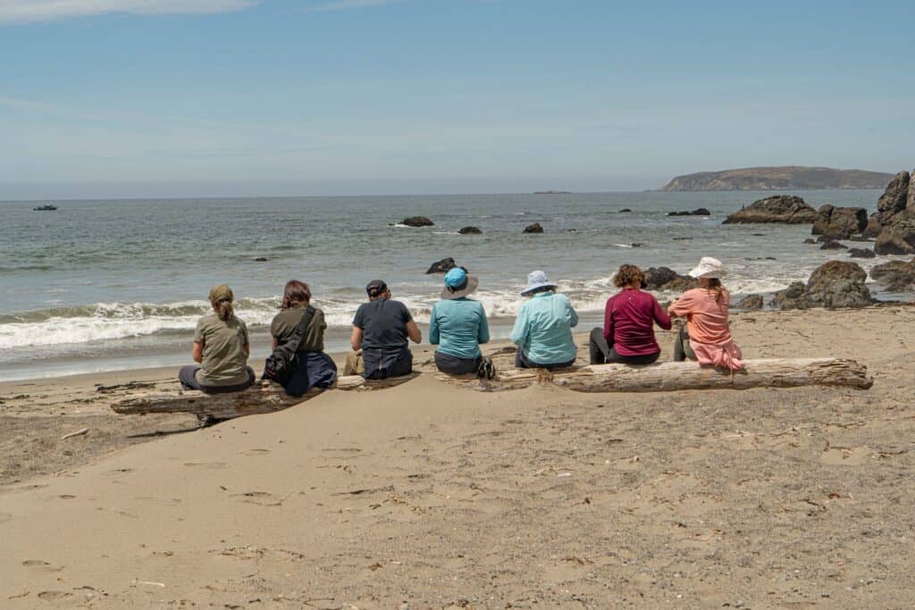 Group of people sitting on the beach overlooking the ocean and rocky shoreline.
