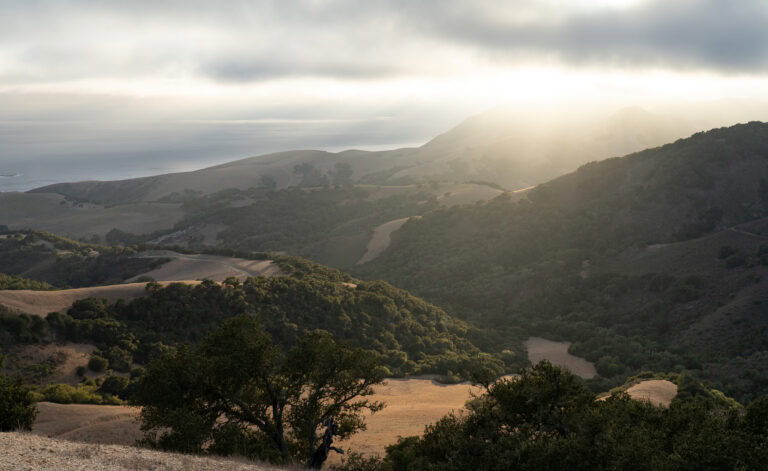 Wild Cherry Canyon Landscape