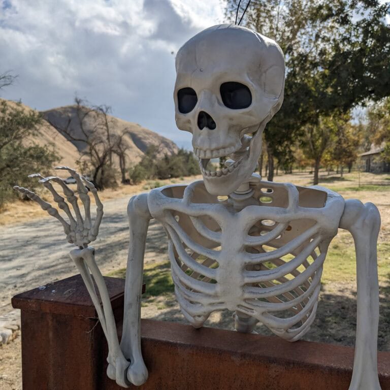 Halloween Skeleton at Wind Wolves