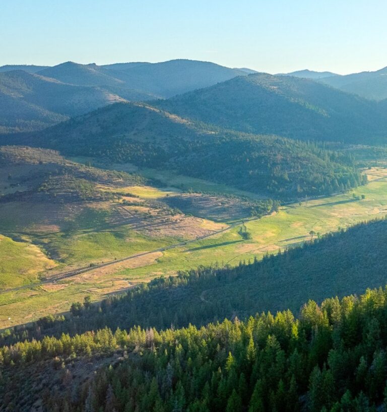 Scenic view of mountains and lush green valleys in the wilderness.